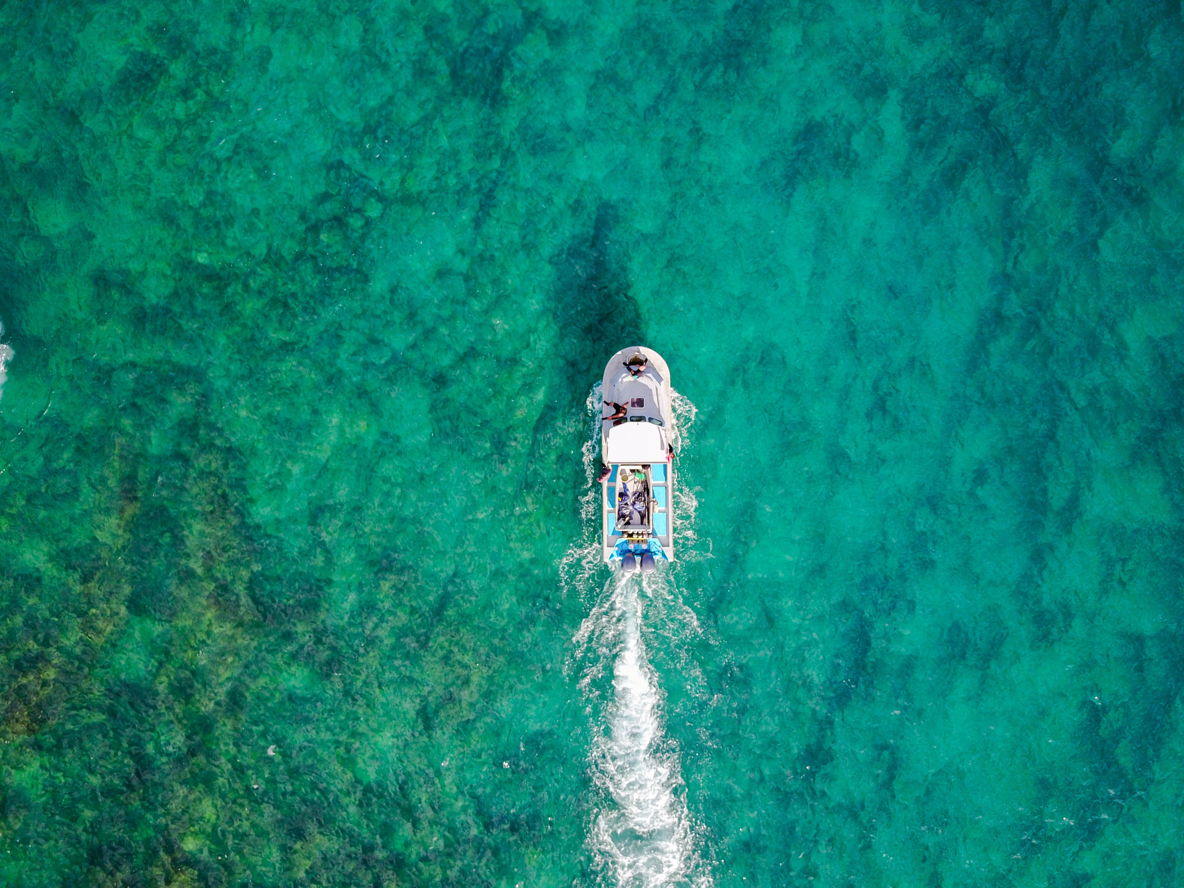 boat in fiji