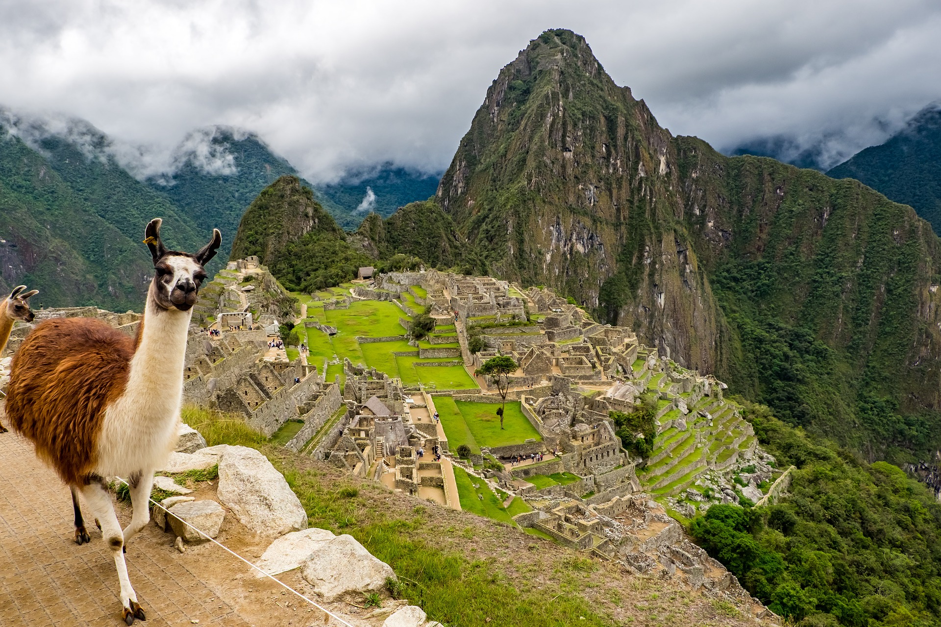 hills of peru with lama