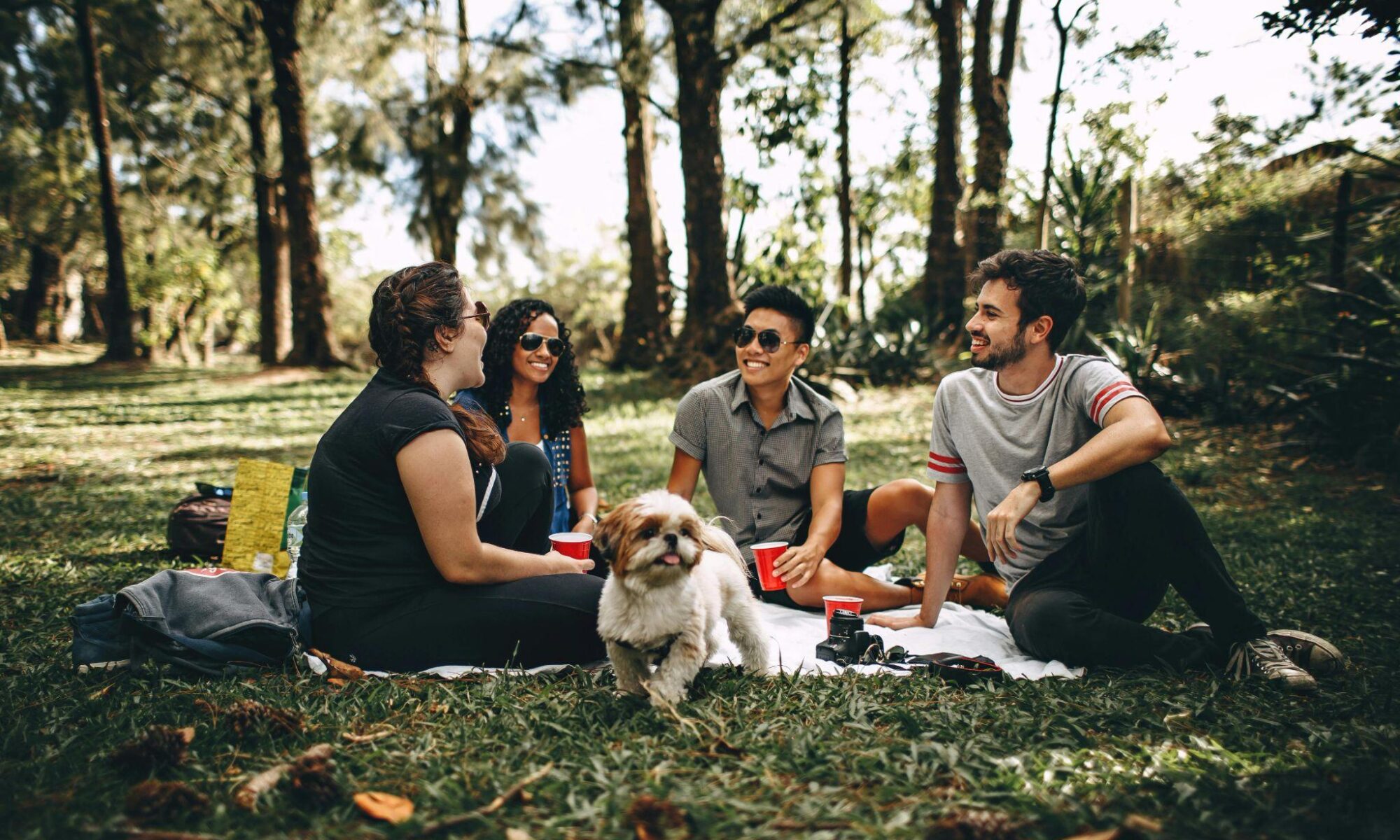 Older couple smiling with friends at a dinner table outdoors