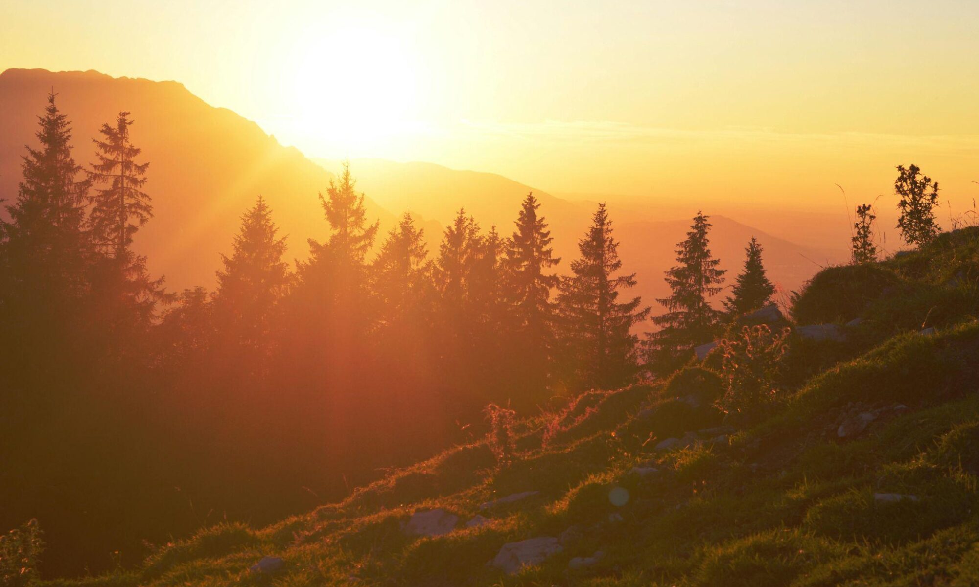Summer Wellness routine